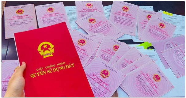 Quyết định về việc hủy Giấy chứng nhận quyền sử dụng đất, quyền sở hữu nhà ở và tài sản khác gắn liền với đất của ông Trịnh Đình Nguyên và vợ là bà Lê Thái Phương Tuyền
